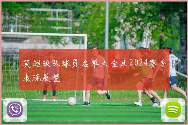 英超狼队球员名单大全及2024赛季表现展望