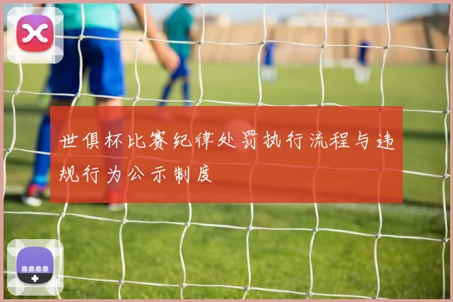 世俱杯比赛纪律处罚执行流程与违规行为公示制度