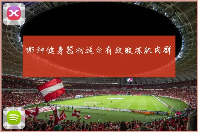 哪种健身器材适合有效锻炼肌肉群