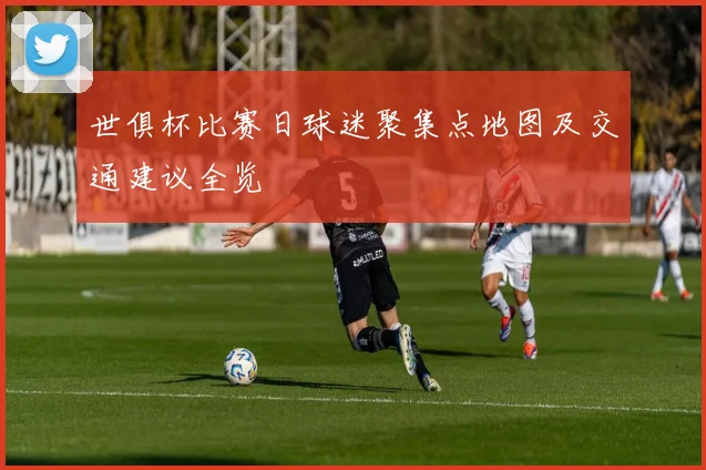 世俱杯比赛日球迷聚集点地图及交通建议全览