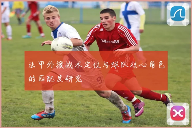 法甲外援战术定位与球队核心角色的匹配度研究