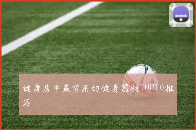 健身房中最常用的健身器材TOP10推荐